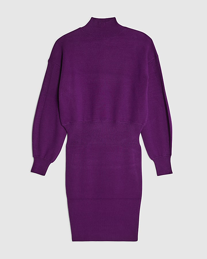 Purple Knit Fitted Waist Jumper Dress