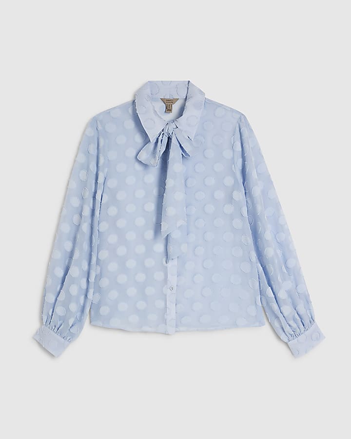Blue Organza Polka Dot Blouse