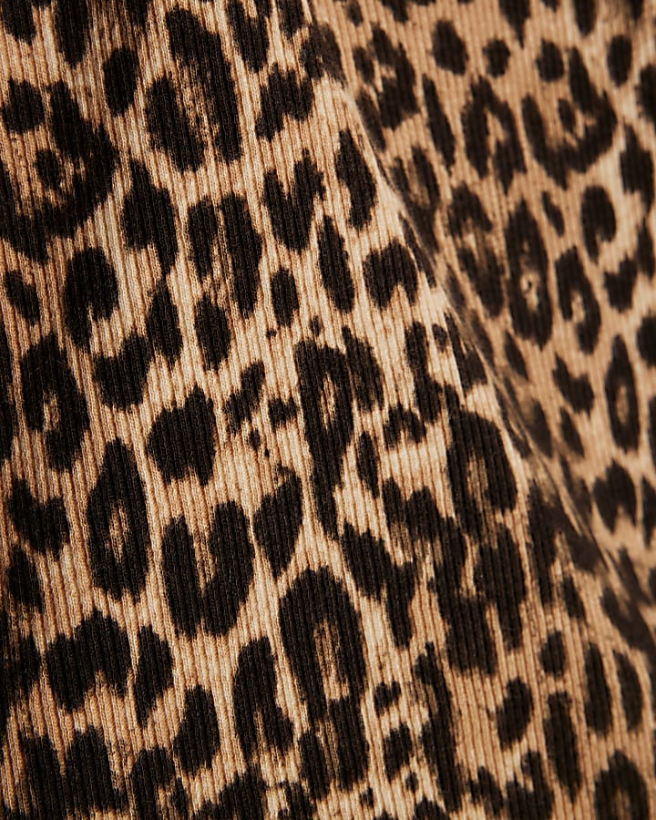 Brown Leopard Print Long Sleeve Fitted Top