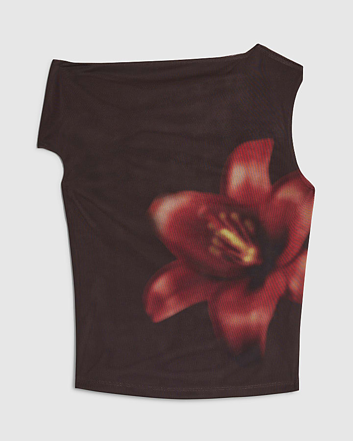 Petite Brown Mesh Floral Print Top