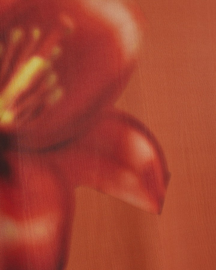 Petite Orange Mesh Floral Print Maxi Skirt