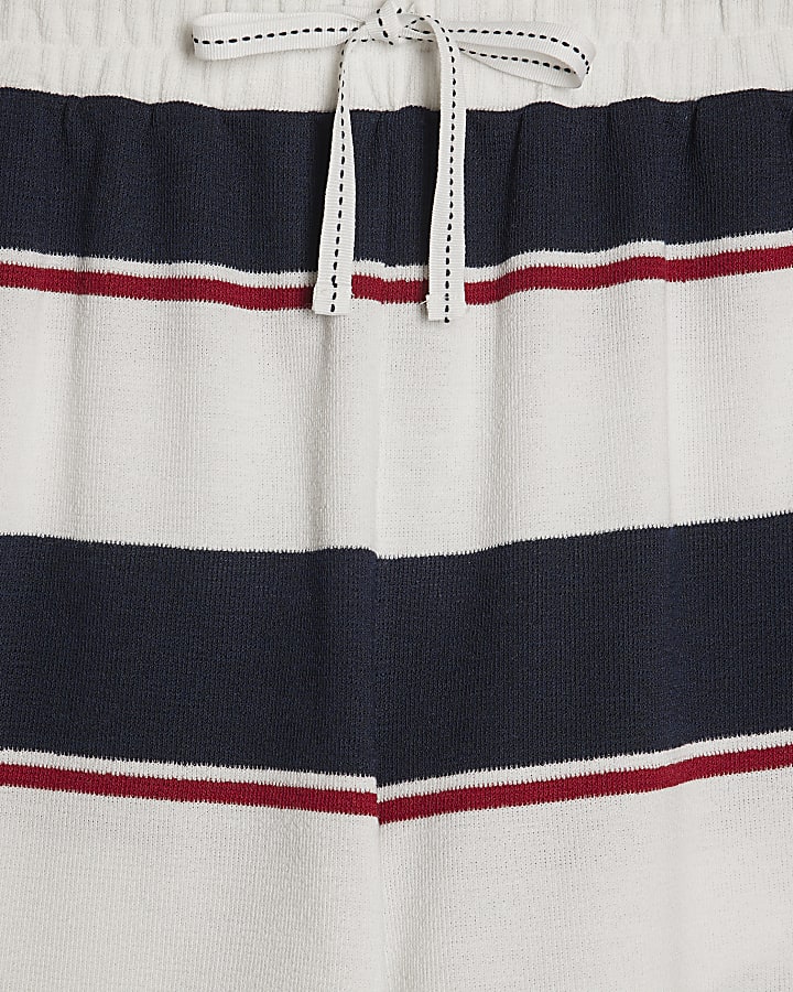 Navy Stripe Textured Shorts