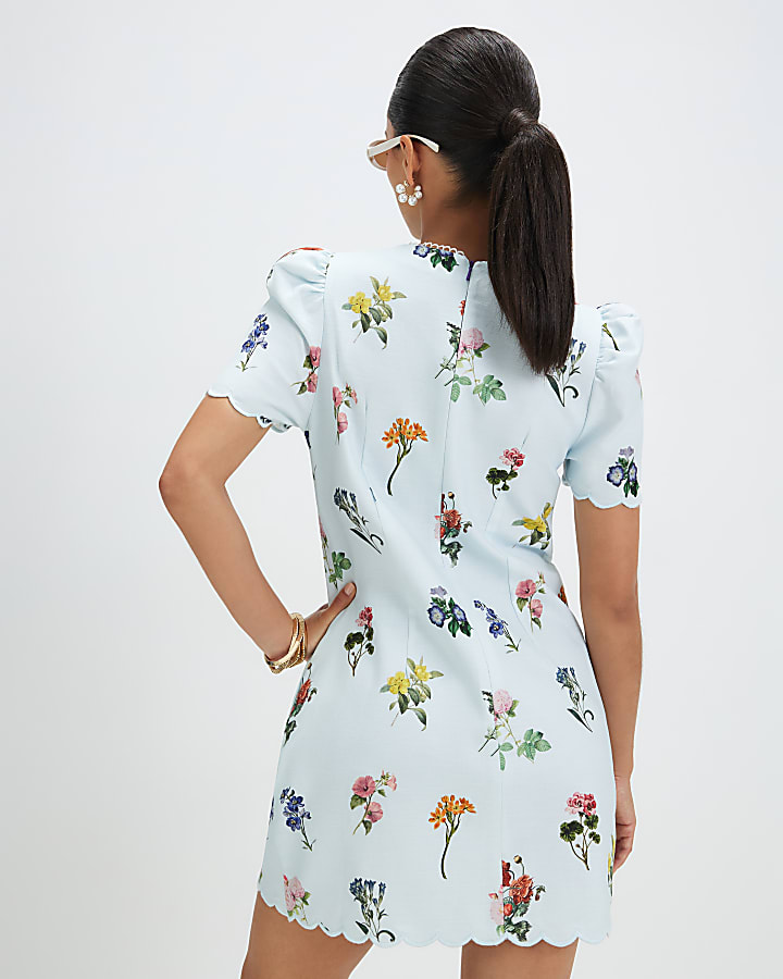 Petite Blue Floral Scallop Shift Dress