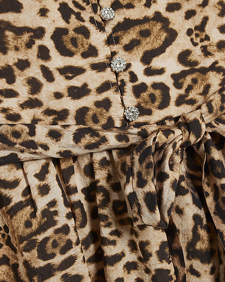 Brown Leopard Belted Skater Dress