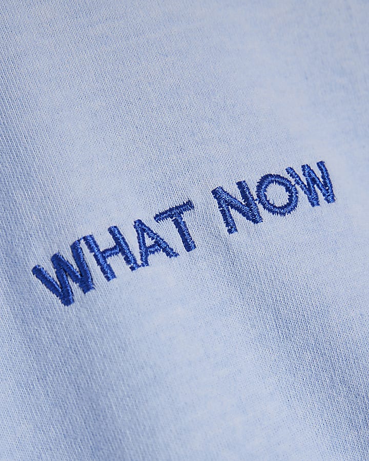 Blue What Now Embroidered T-Shirt