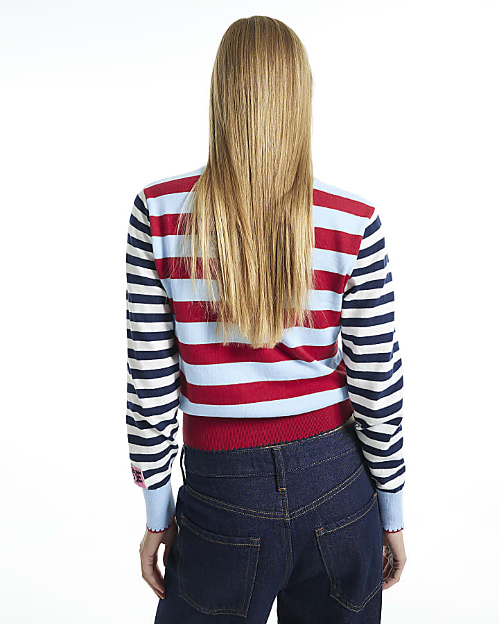 Navy Stripe Knit Long Sleeve Colour Block Top