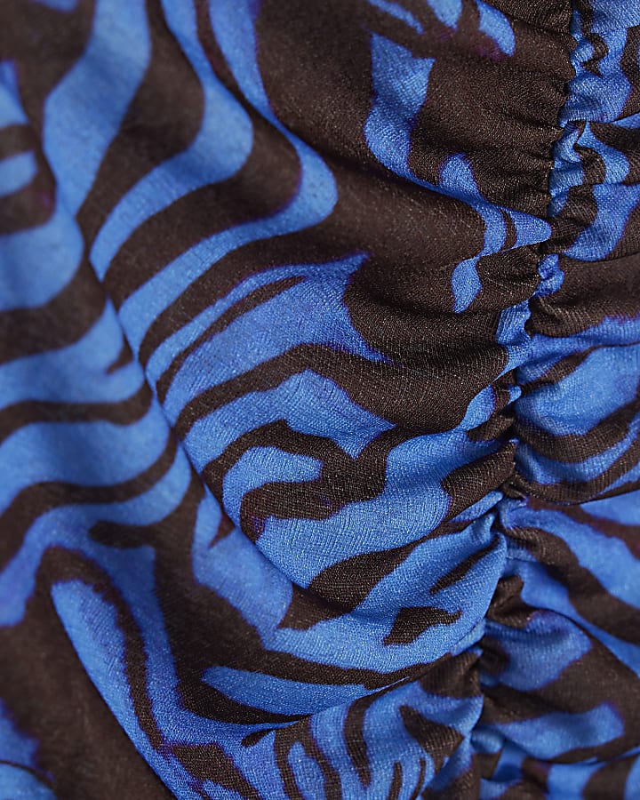 Blue Zebra Print Long Sleeve Ruched Front Top