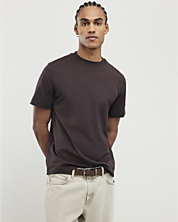 Brown Regular Fit T-Shirt