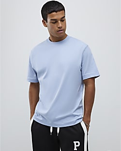 Blue Regular Fit Essential T-Shirt