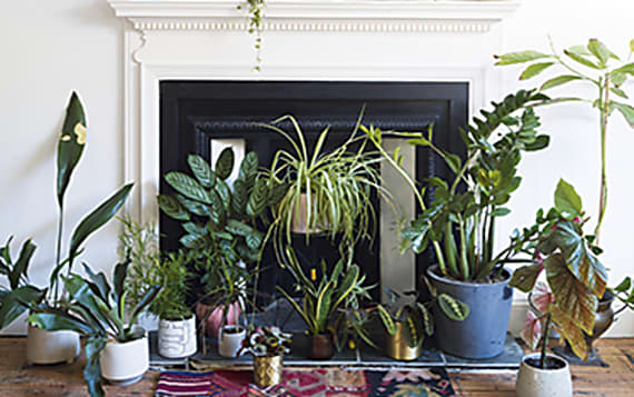 6 Planters Your Home Needs