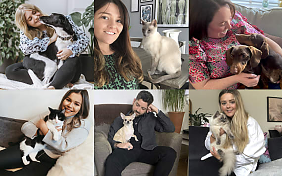 IslandersAtHome: RI’s Furry Friends