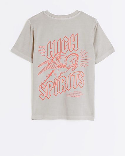 Boys stone graphic print t-shirt