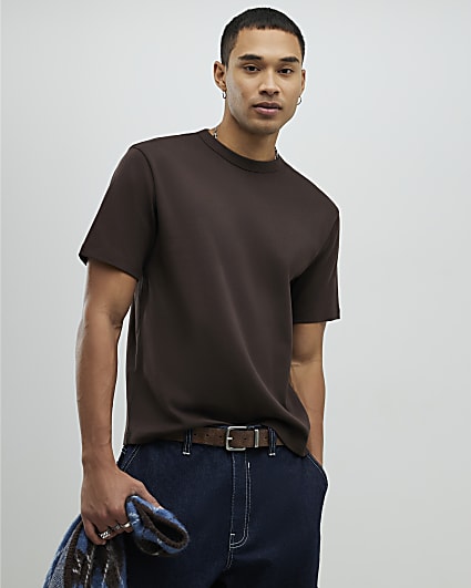 Brown Regular Fit T-Shirt