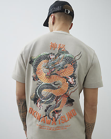 Grey Regular Fit Washed Hayashima T-Shirt