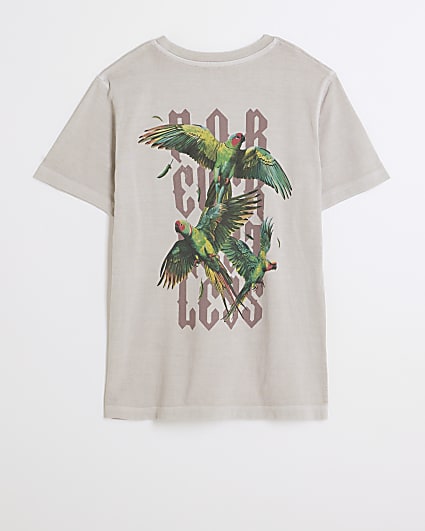 Boys stone birds graphic t-shirt