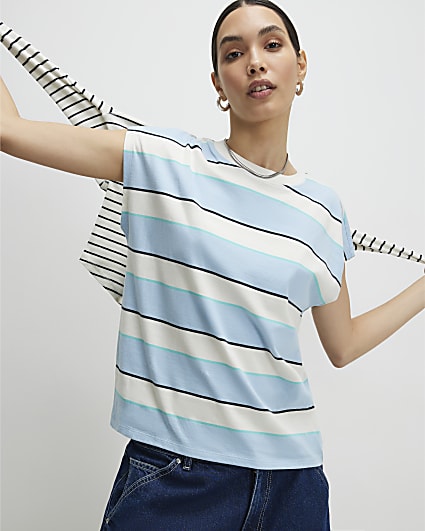 Blue Cotton Stripe Short Sleeve T-shirt