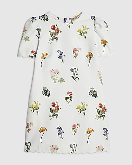 Petite Blue Floral Scallop Shift Dress