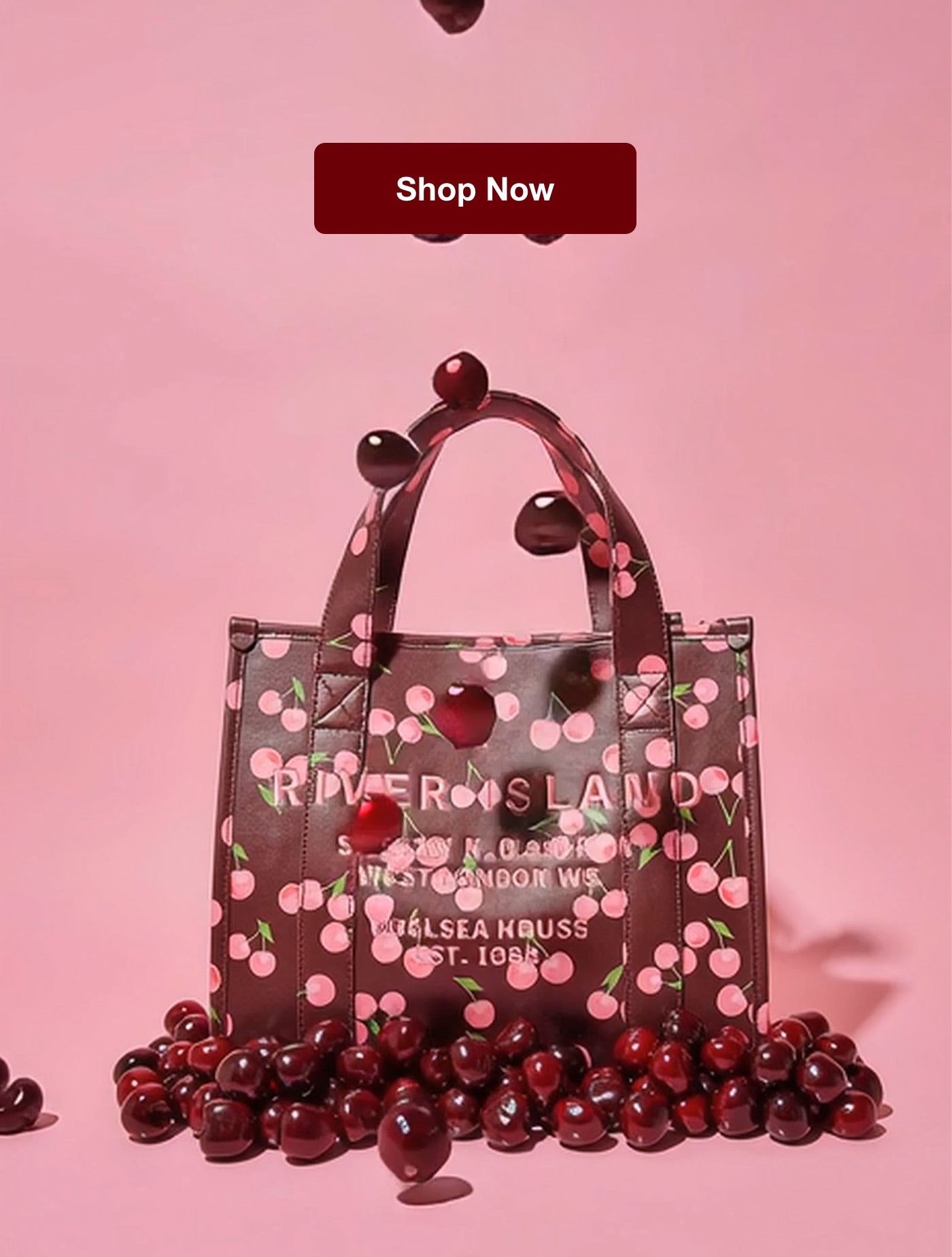 SHOP NOW