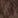 Brown swatch of 449333