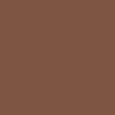 Brown swatch of 456320