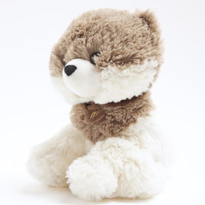 Beige dog heat pack River Island