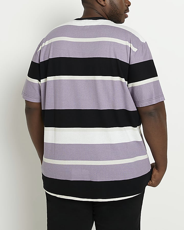 Big & Tall Purple Regular fit Stripe t-shirt