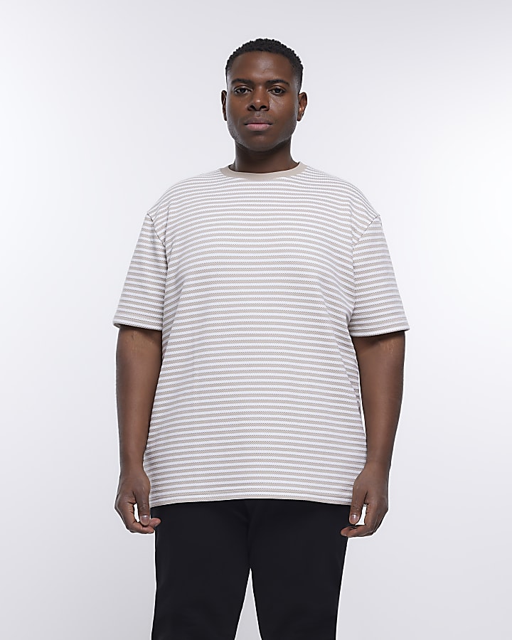 Big & Tall stone regular fit striped t-shirt