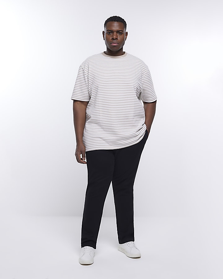 Big & Tall stone regular fit striped t-shirt