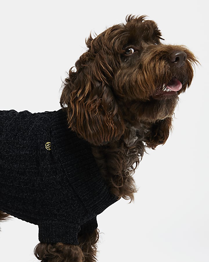 Black RI dog chenille jumper