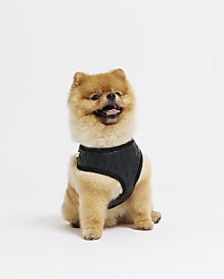 Black RI dog embossed harness