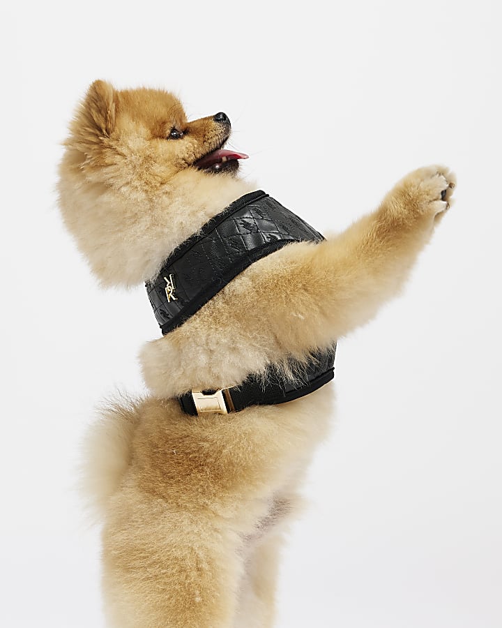 Black RI dog embossed harness