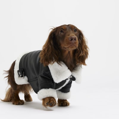 Visual filter display for Dog Clothing & Accessories