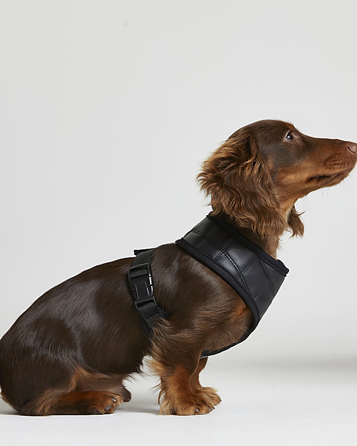 Black RI Dog faux leather quilted harness
