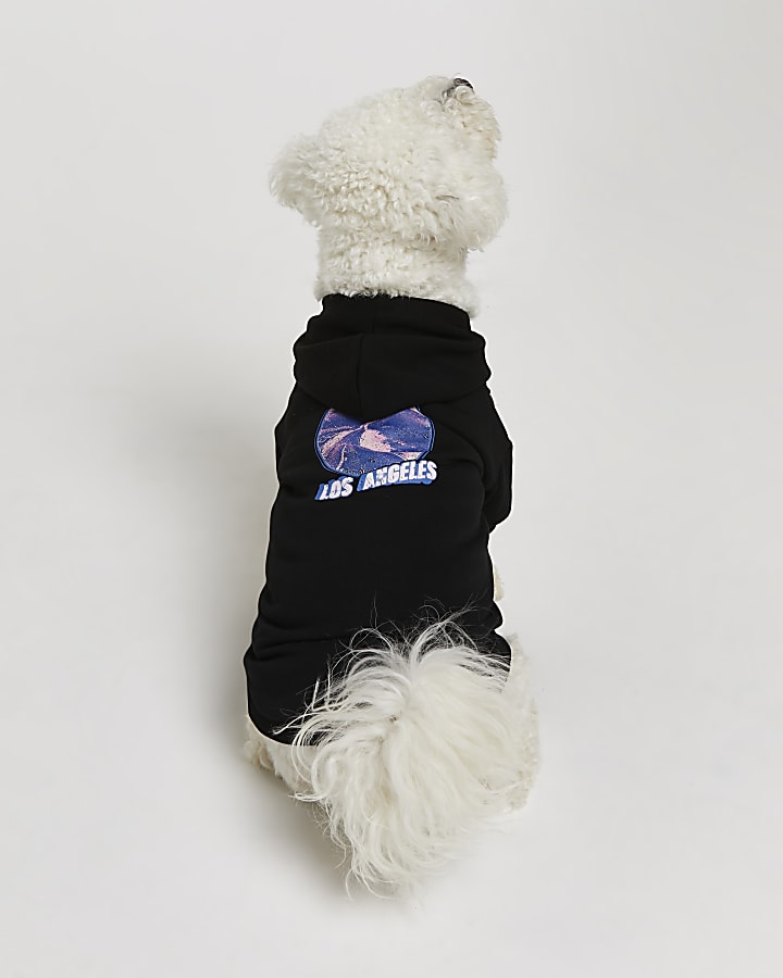 Black RI Dog graphic hoodie
