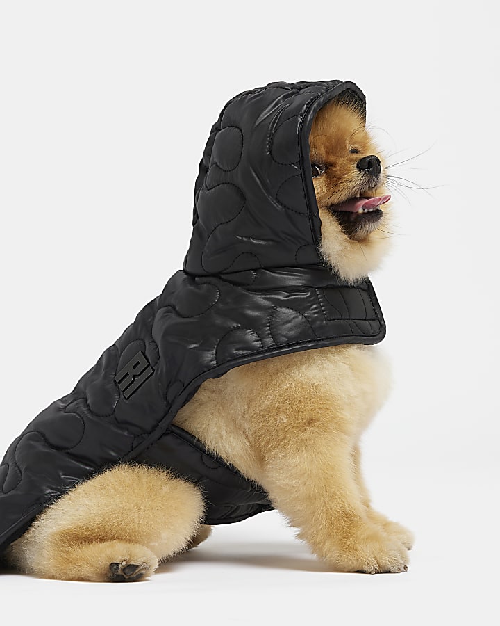 Black RI dog quilted hooded coat