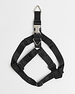 Black RI dog webbing harness