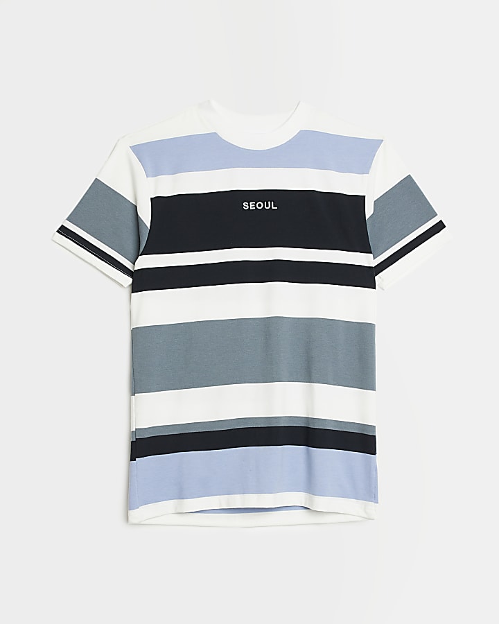 Blue Muscle fit Stripe T-shirt