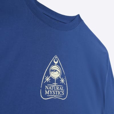 Blue regular fit graphic print t-shirt