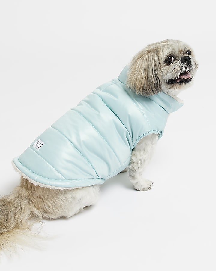Blue RI dog quilted padded gilet