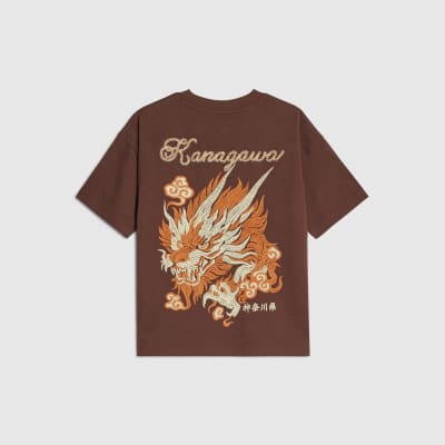Boys Brown Embroidered Dragon T-Shirt