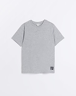 Boys Grey Short Sleeve T-shirt