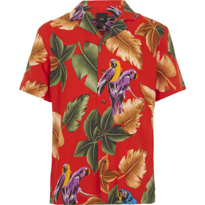 Boys red short sleeve parrot print shirt