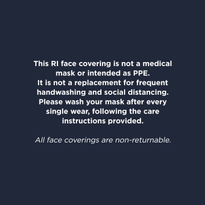 Brown animal print face covering 2 pack