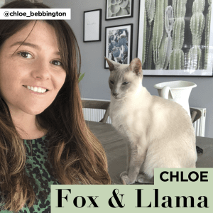 Chloe, Fox & Llama