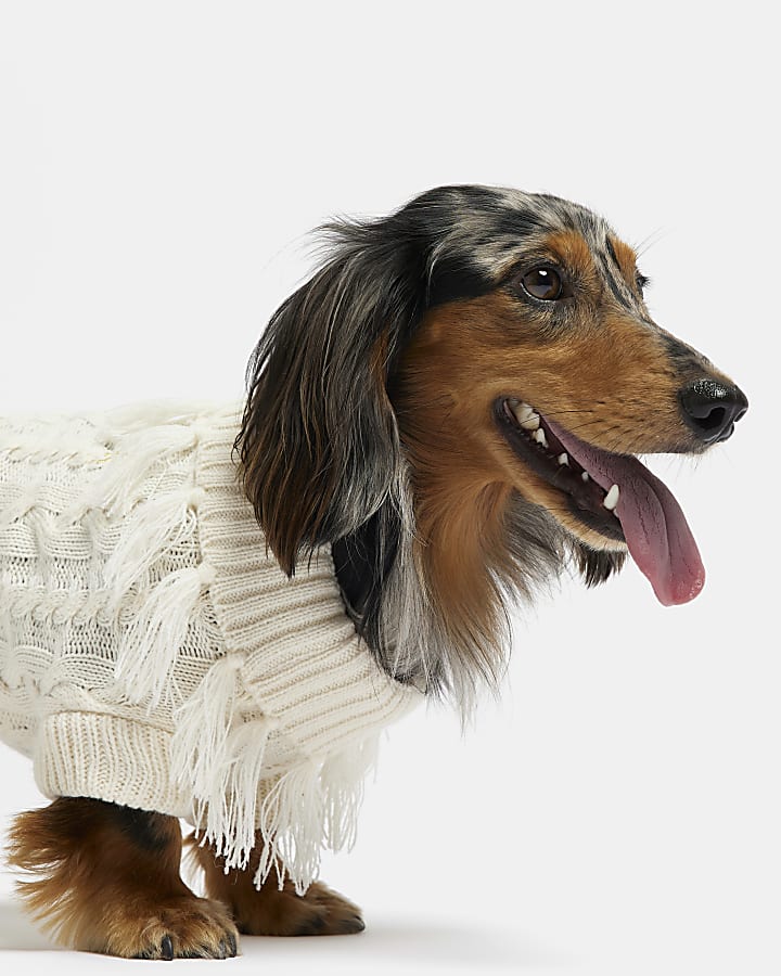 Cream RI dog cable knit tassel jumper