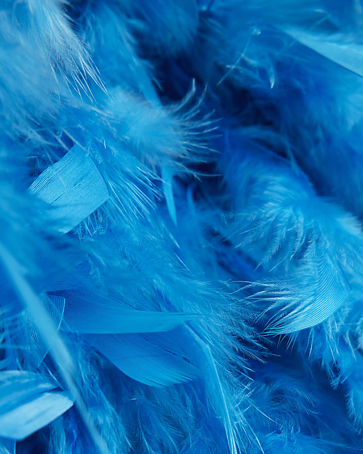Girls blue feather crop top