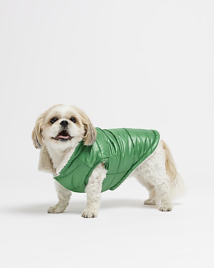 Green Casual Canine Basic Hoodie for Dogs 20 Large 