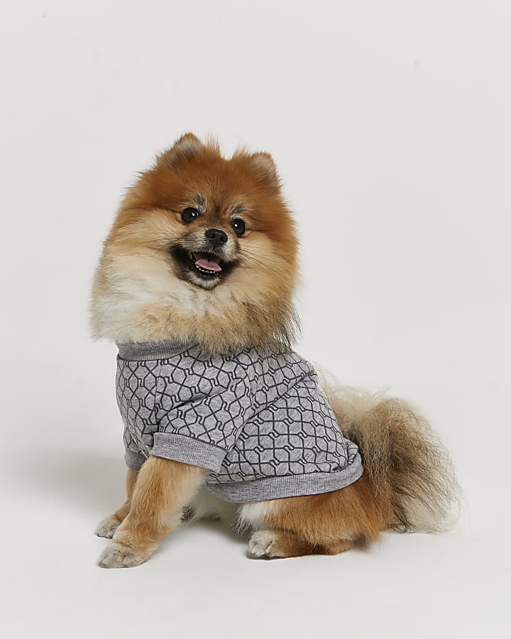 Grey RI Dog monogram print jumper