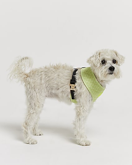 Lime RI Dog quilted harness