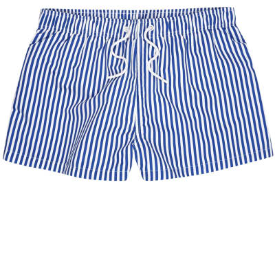 Navy stripe swim shorts